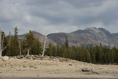 DSC_2974 (Large).JPG